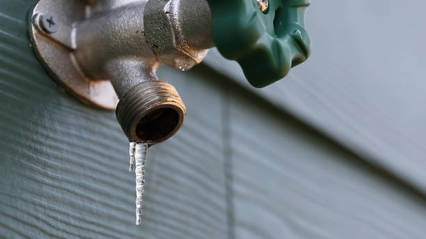 Best Shower Repair Services  in Grandy, NC
